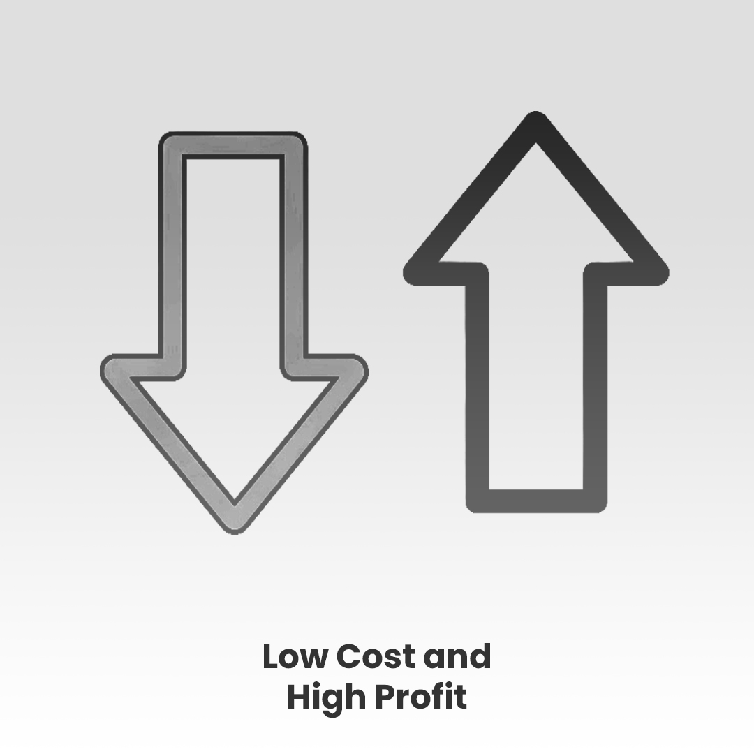 Low Cost and High Profit