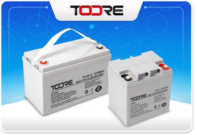 AGM VRLA Battery