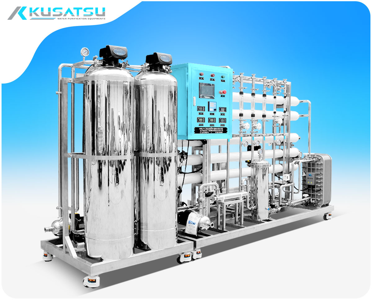 Pharmaceutical RO+EDI Water Purification Machines