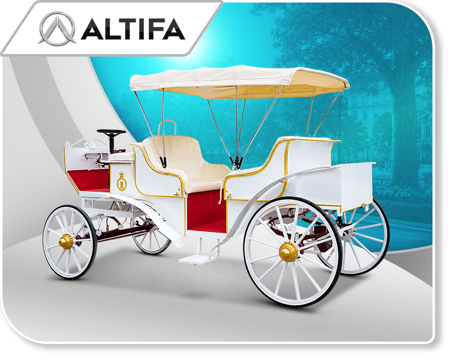 Sightseeing Carriage ASSC-2