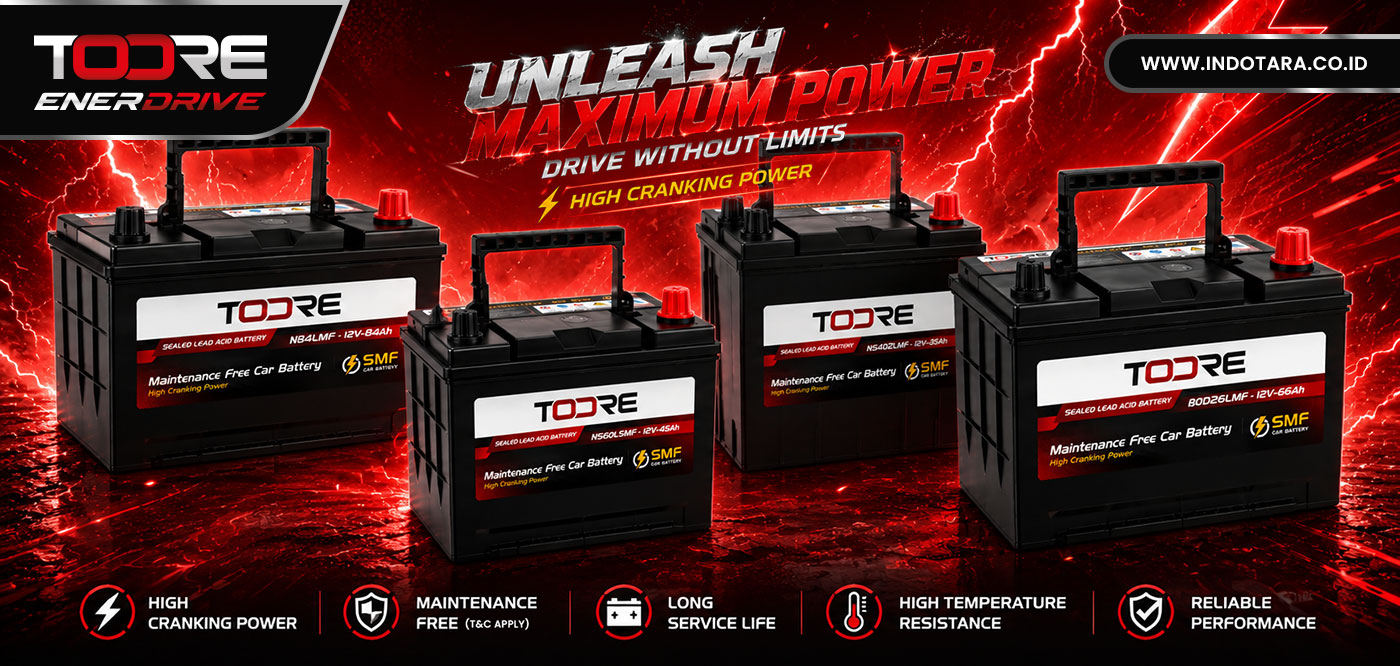 TOORE Automotive Battery
