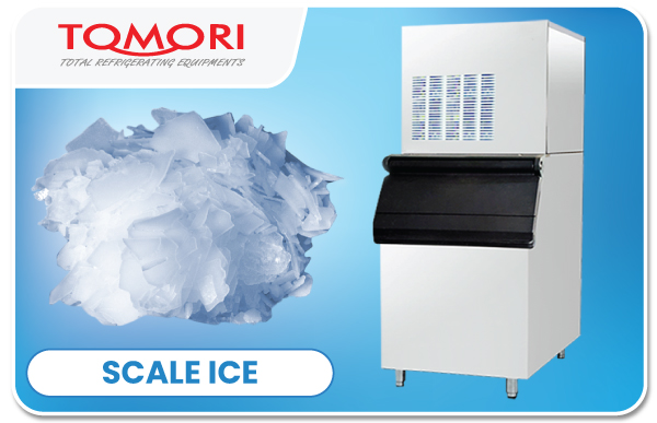 AP Series Ice Scale Maker